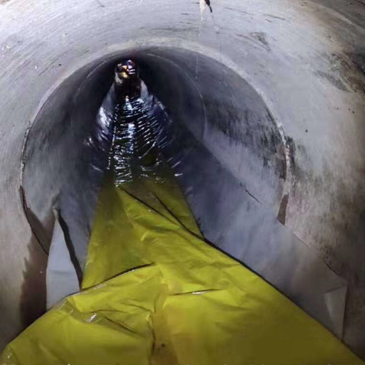 平果管道光固化修复